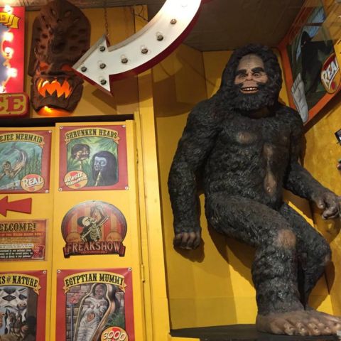 museum of the weird austin texas